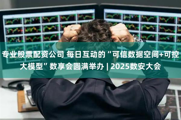 专业股票配资公司 每日互动的“可信数据空间+可控大模型”数享会圆满举办 | 2025数安大会